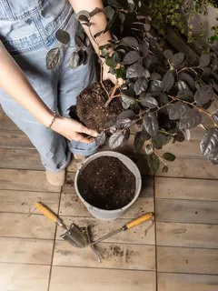 Persoon herpot een plant met tuingereedschap