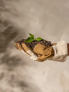 Persoon houdt een plant vast in de hand, groene bladeren zichtbaar